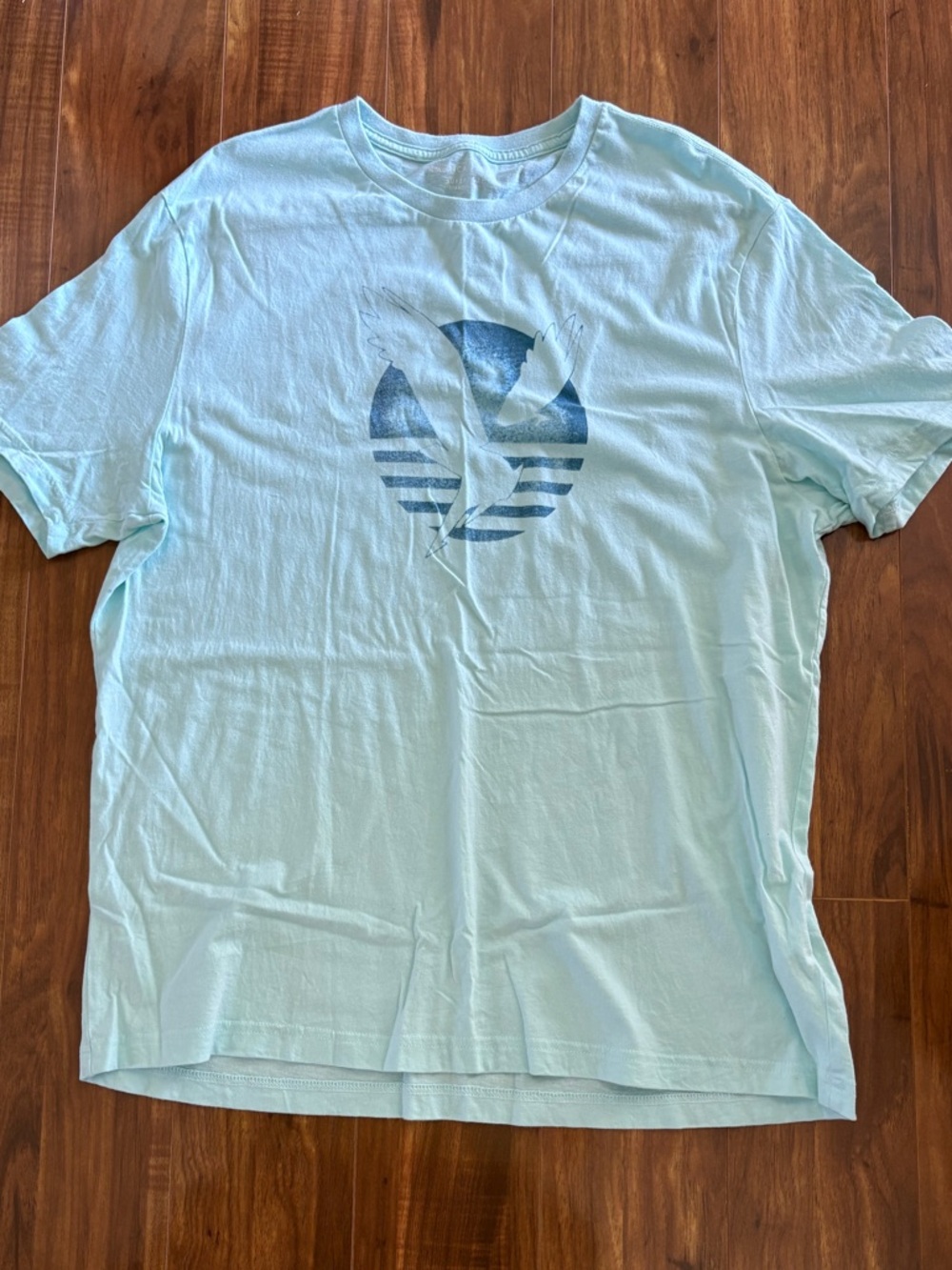 American Eagle Outfitters Mint Green Short Sleeve Tee with Faded Navy Logo